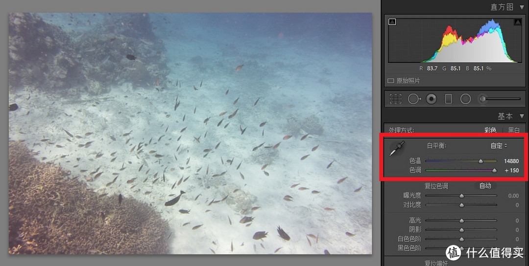 再谈浮潜：拍摄装备进阶与后期处理