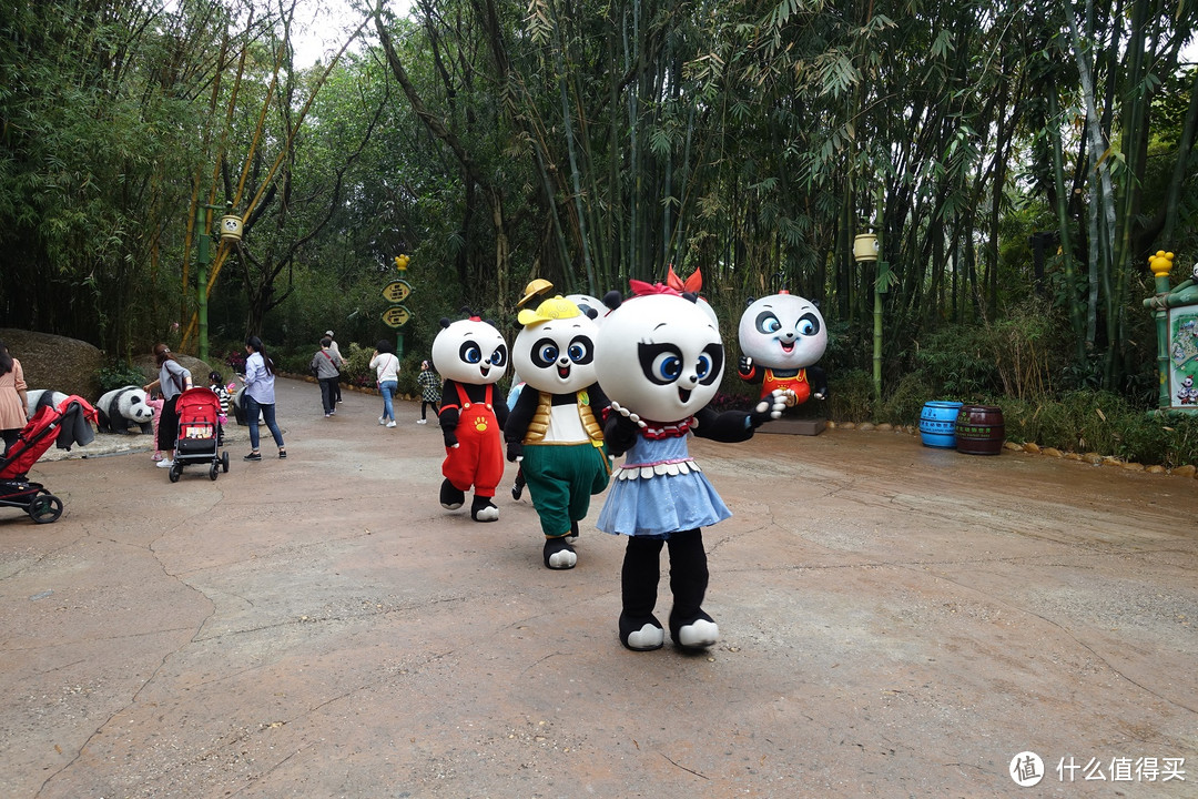 广州长隆野生动物世界自驾、步行游览双攻略