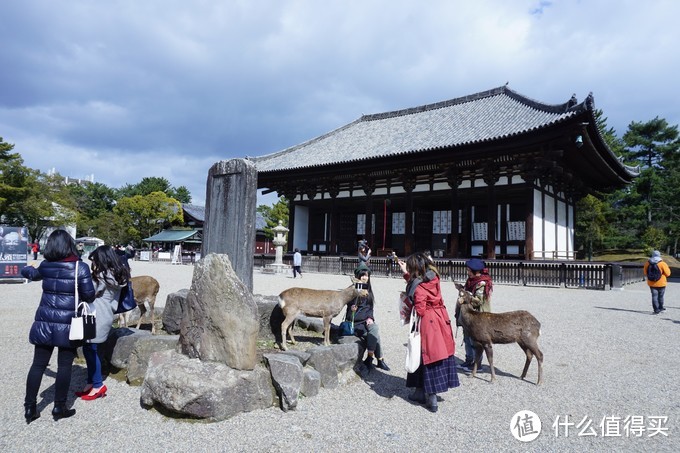 关于两个吃货的关西之旅——大阪，奈良，京都