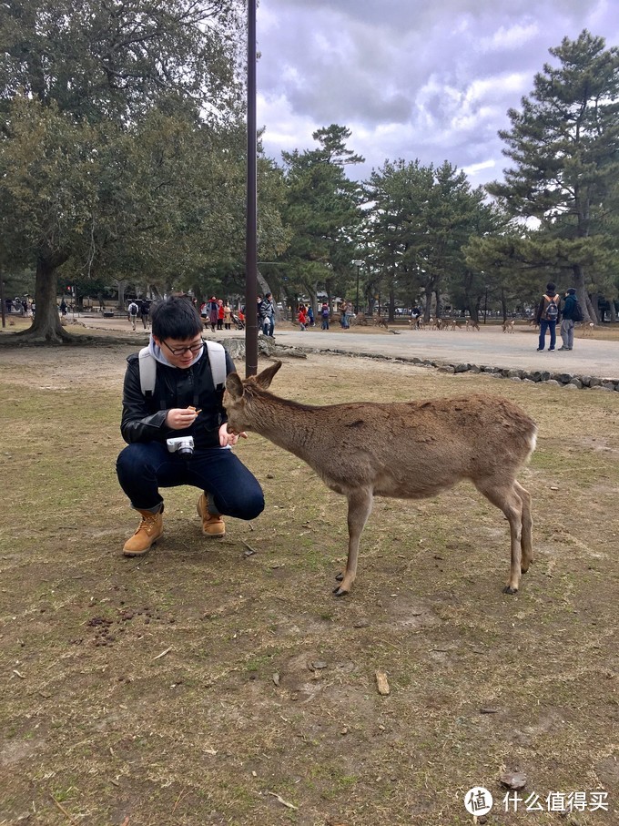 关于两个吃货的关西之旅——大阪，奈良，京都