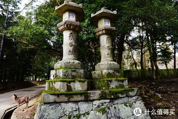 关于两个吃货的关西之旅——大阪，奈良，京都