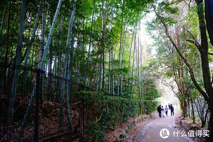 关于两个吃货的关西之旅——大阪，奈良，京都