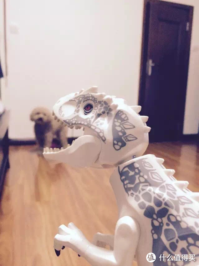 玩具总动员 — 中年老阿姨的少女心(一)