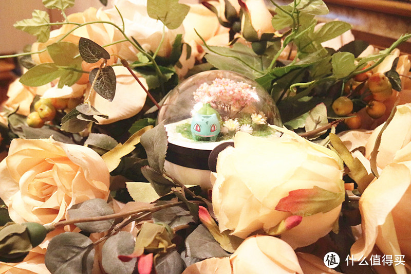 精灵宝可梦之家的奇妙幻想——妙蛙种子精灵球DIY