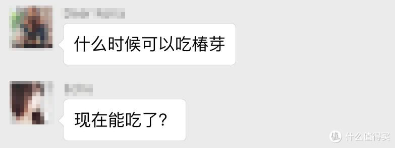 本以为香椿又是“逼供食物”，万万没想到……