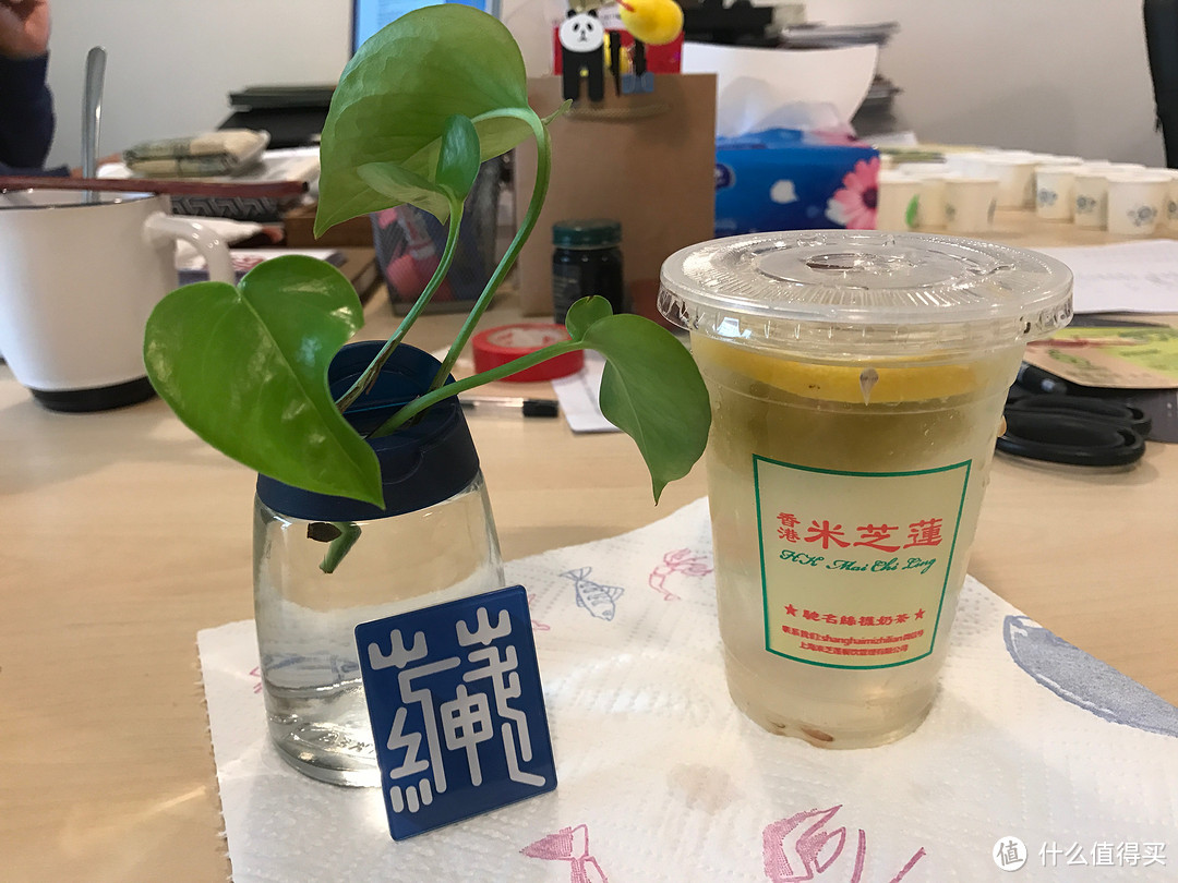 250杯奶茶下肚，终于敢说南宁街头的哪一杯奶茶值得买了