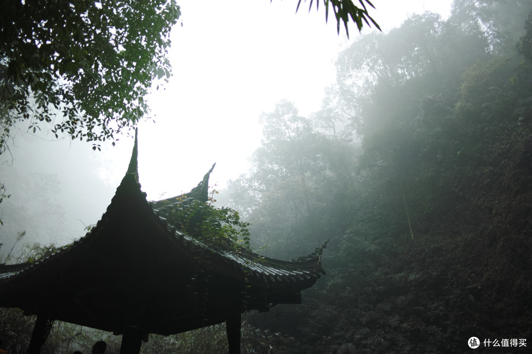 与成都擦肩,初登峨眉,初观大佛,初遇国宝!