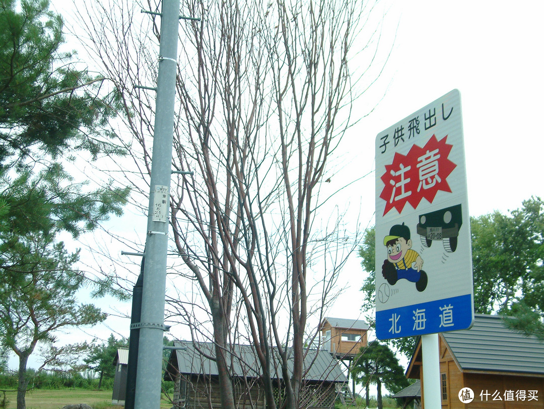 影像篇到底：葛大叔《非诚勿扰》后的夏日北海道游走