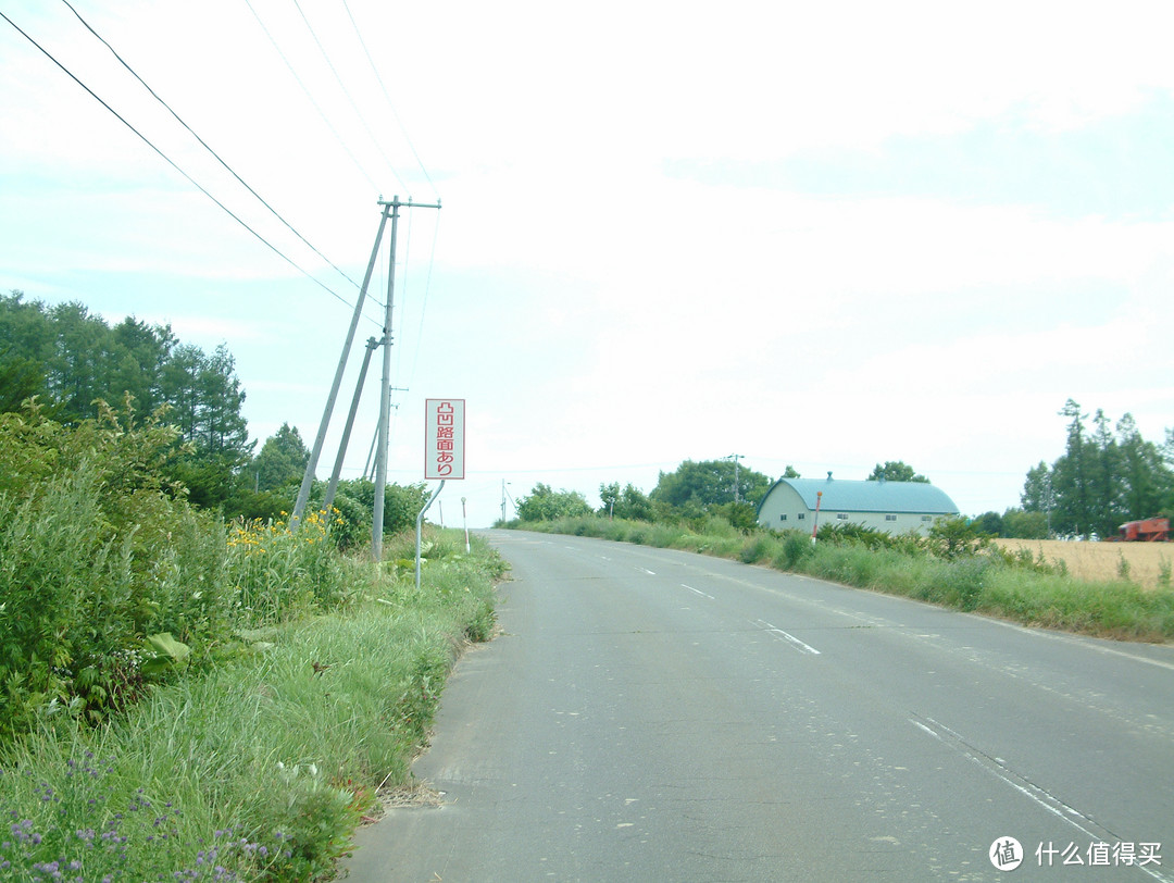 影像篇到底：葛大叔《非诚勿扰》后的夏日北海道游走