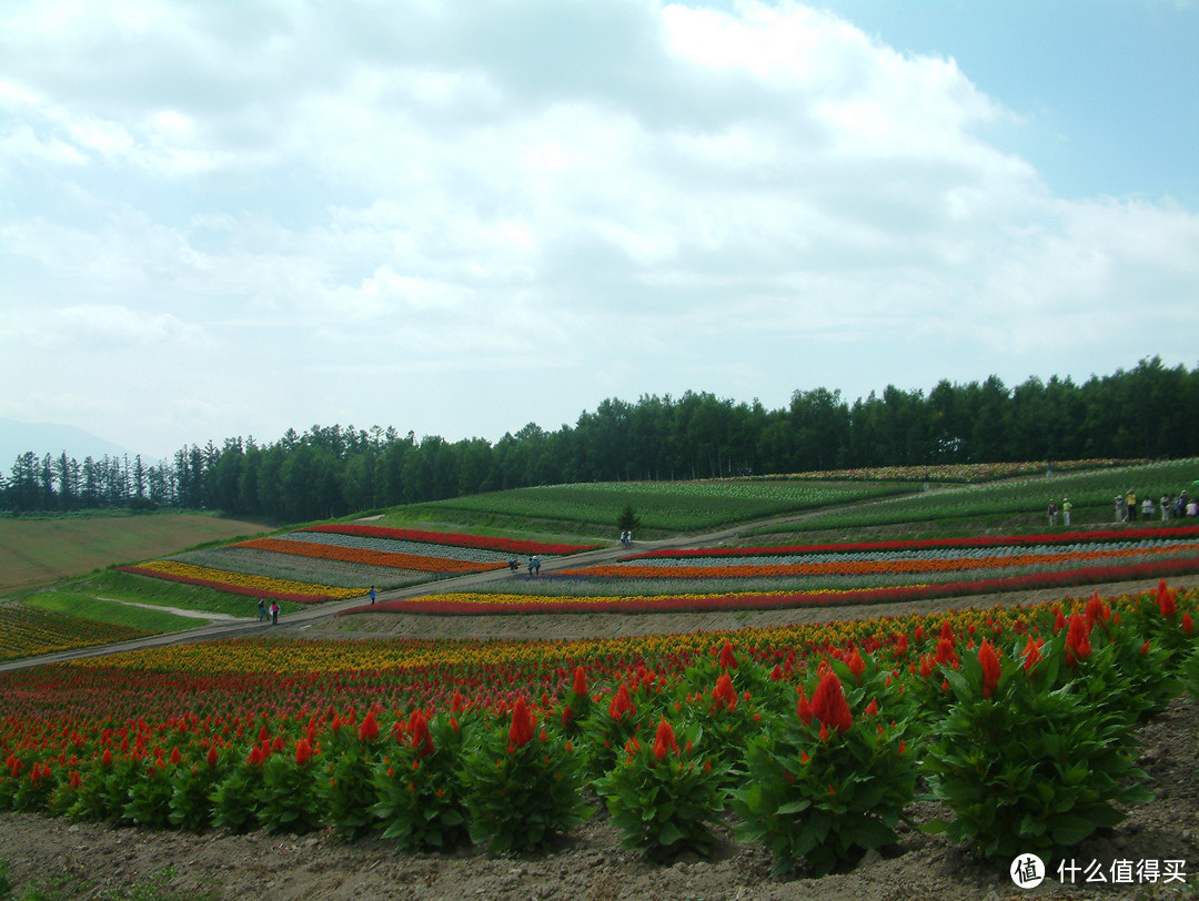 影像篇到底：葛大叔《非诚勿扰》后的夏日北海道游走