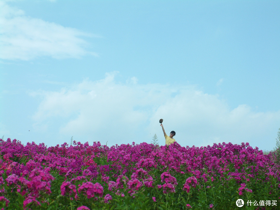 影像篇到底：葛大叔《非诚勿扰》后的夏日北海道游走