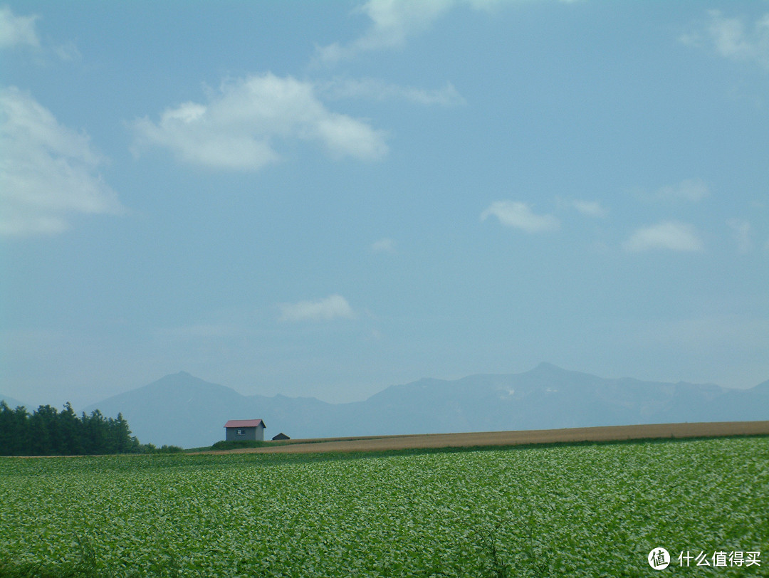 影像篇到底：葛大叔《非诚勿扰》后的夏日北海道游走