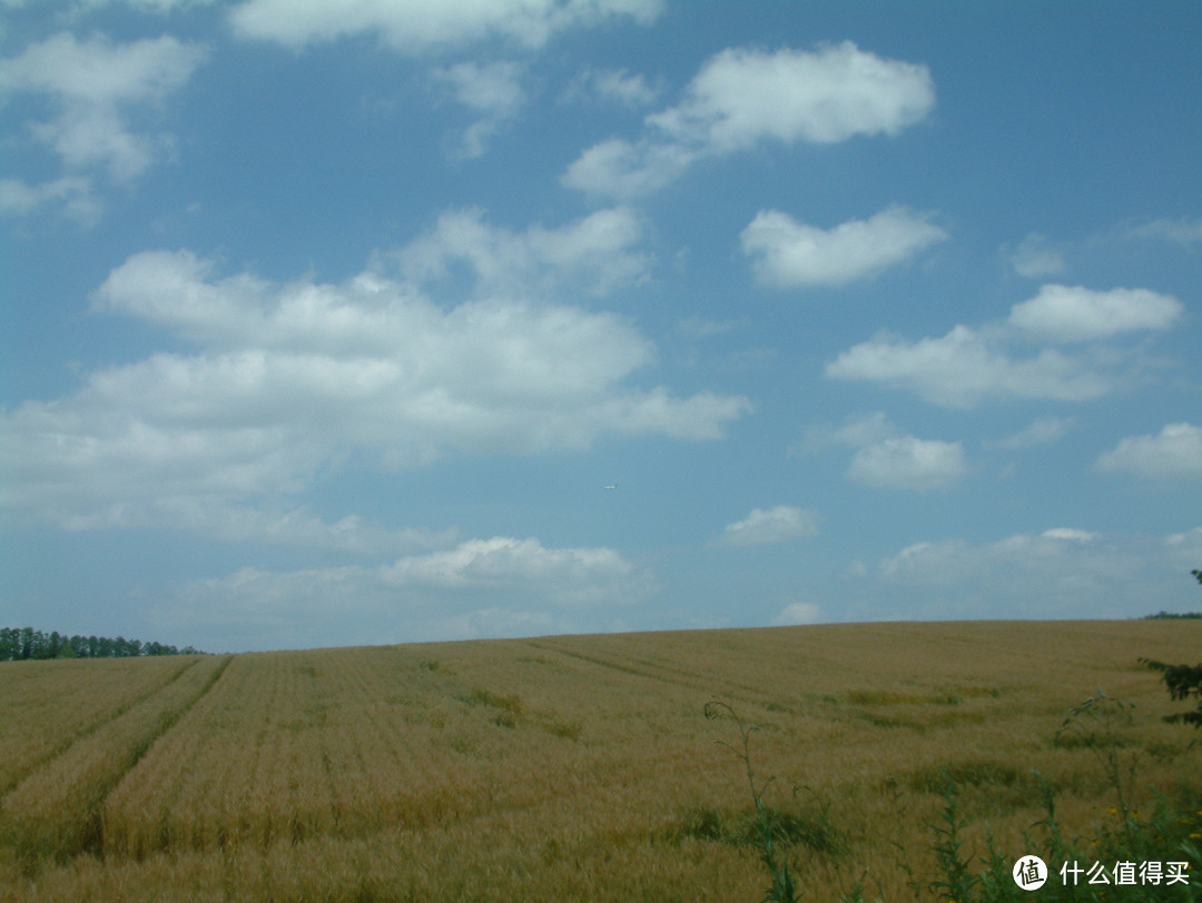 影像篇到底：葛大叔《非诚勿扰》后的夏日北海道游走