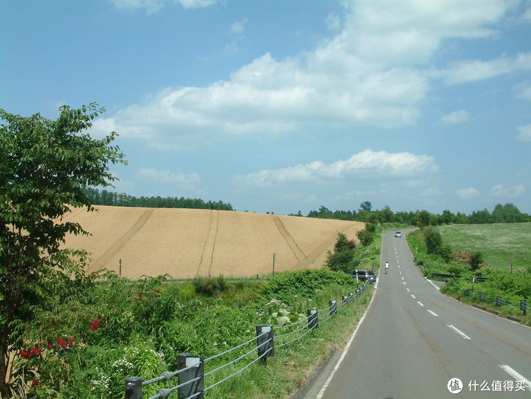 影像篇到底：葛大叔《非诚勿扰》后的夏日北海道游走