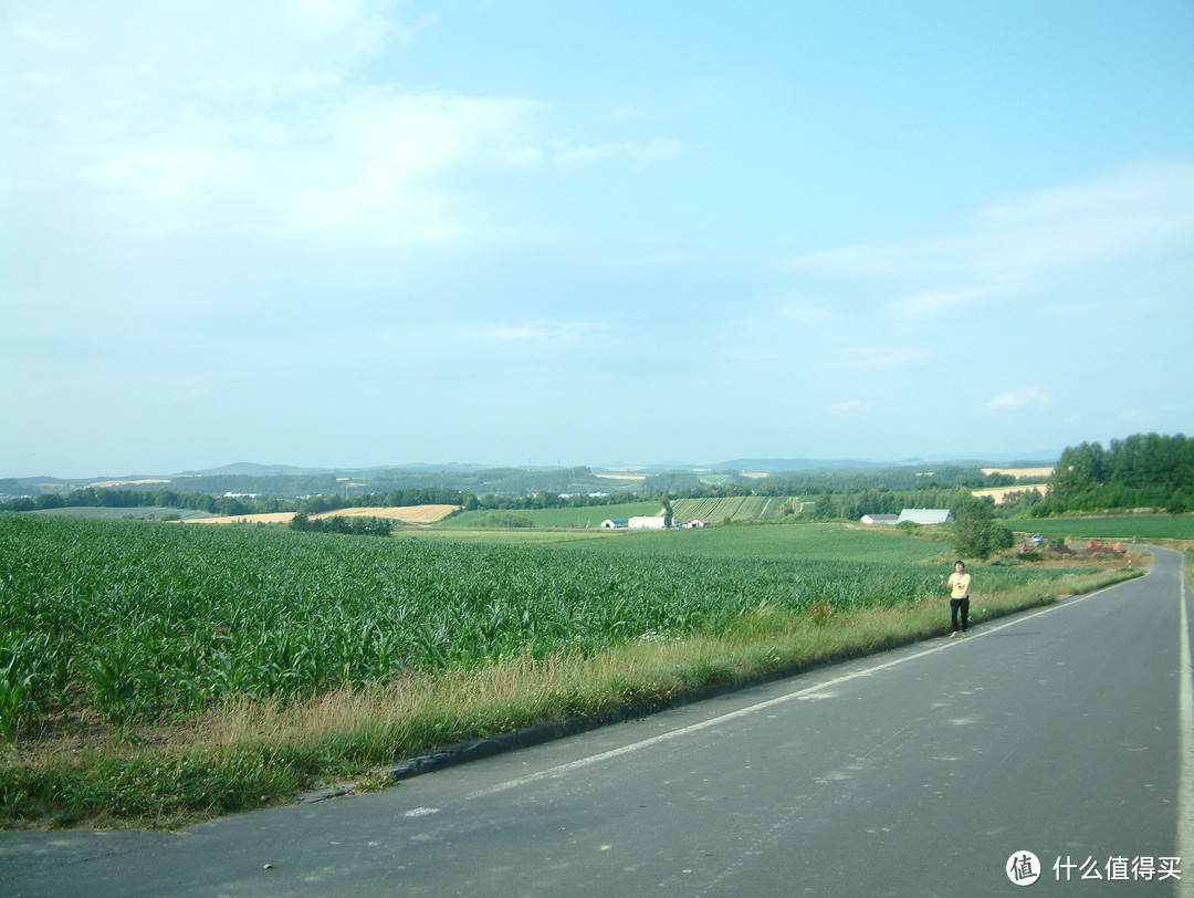 影像篇到底：葛大叔《非诚勿扰》后的夏日北海道游走