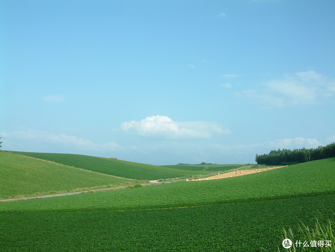 影像篇到底：葛大叔《非诚勿扰》后的夏日北海道游走