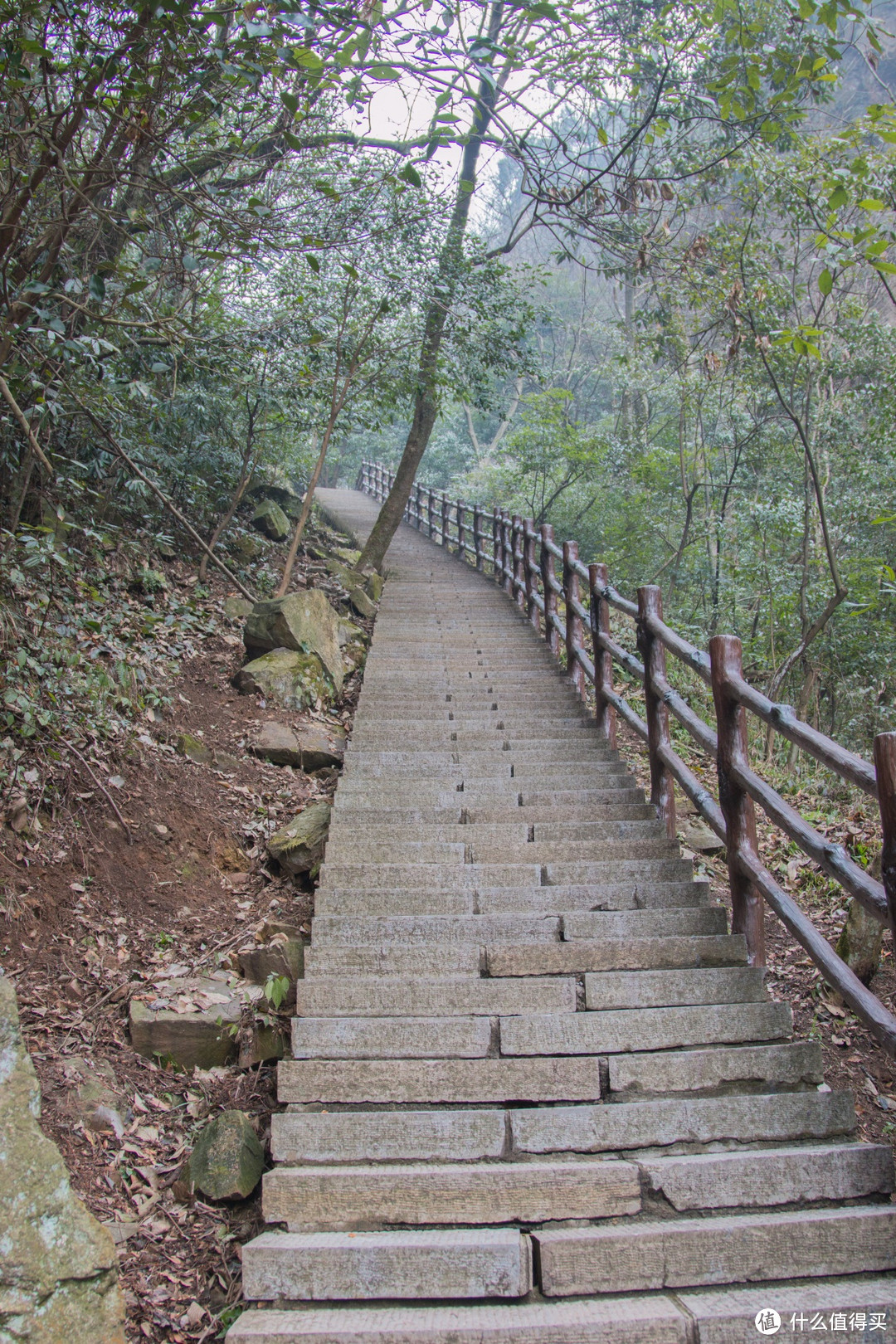 湘行记——在那座阴雨的小城冻成了狗