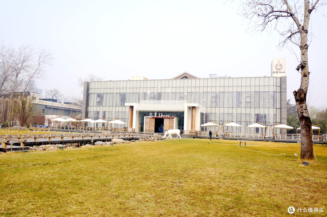 点评榜全国50家必吃餐厅?帝都大董烤鸭探店实录