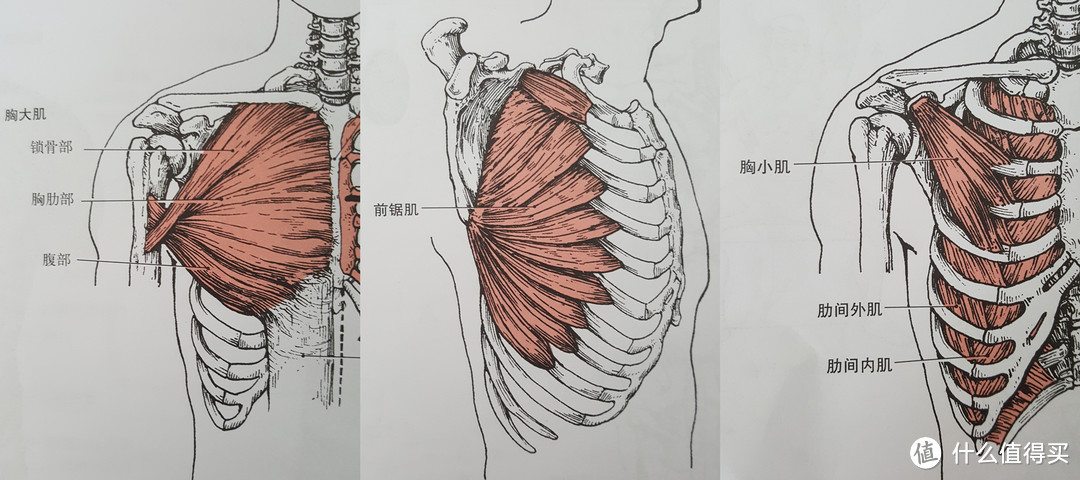 #春光乍瘦#挥洒一年汗水，遇见更好自己