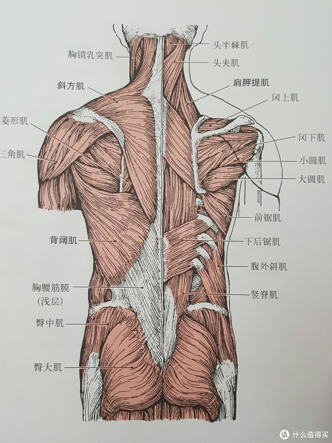 #春光乍瘦#挥洒一年汗水，遇见更好自己