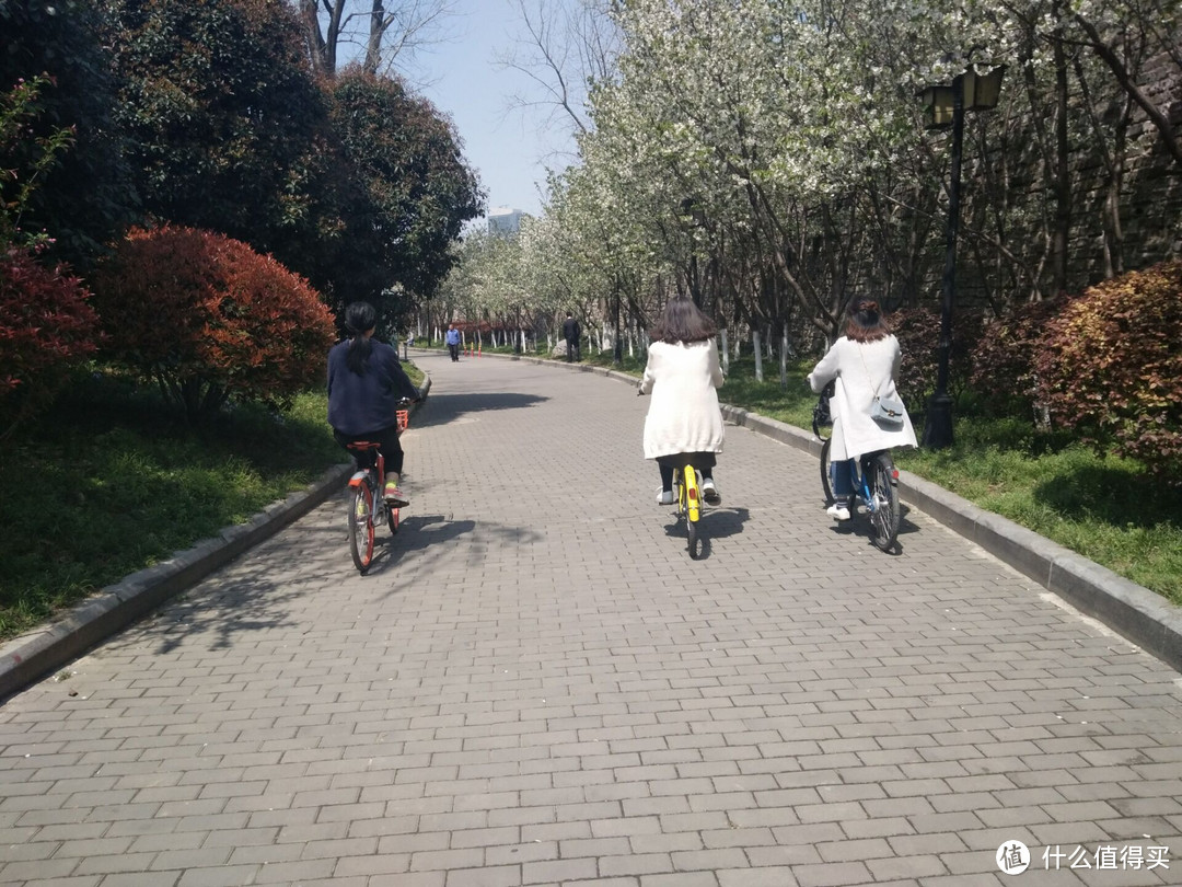 #2017春花大赏#鸡鸣寺赏花、玄武湖划水趣味之旅