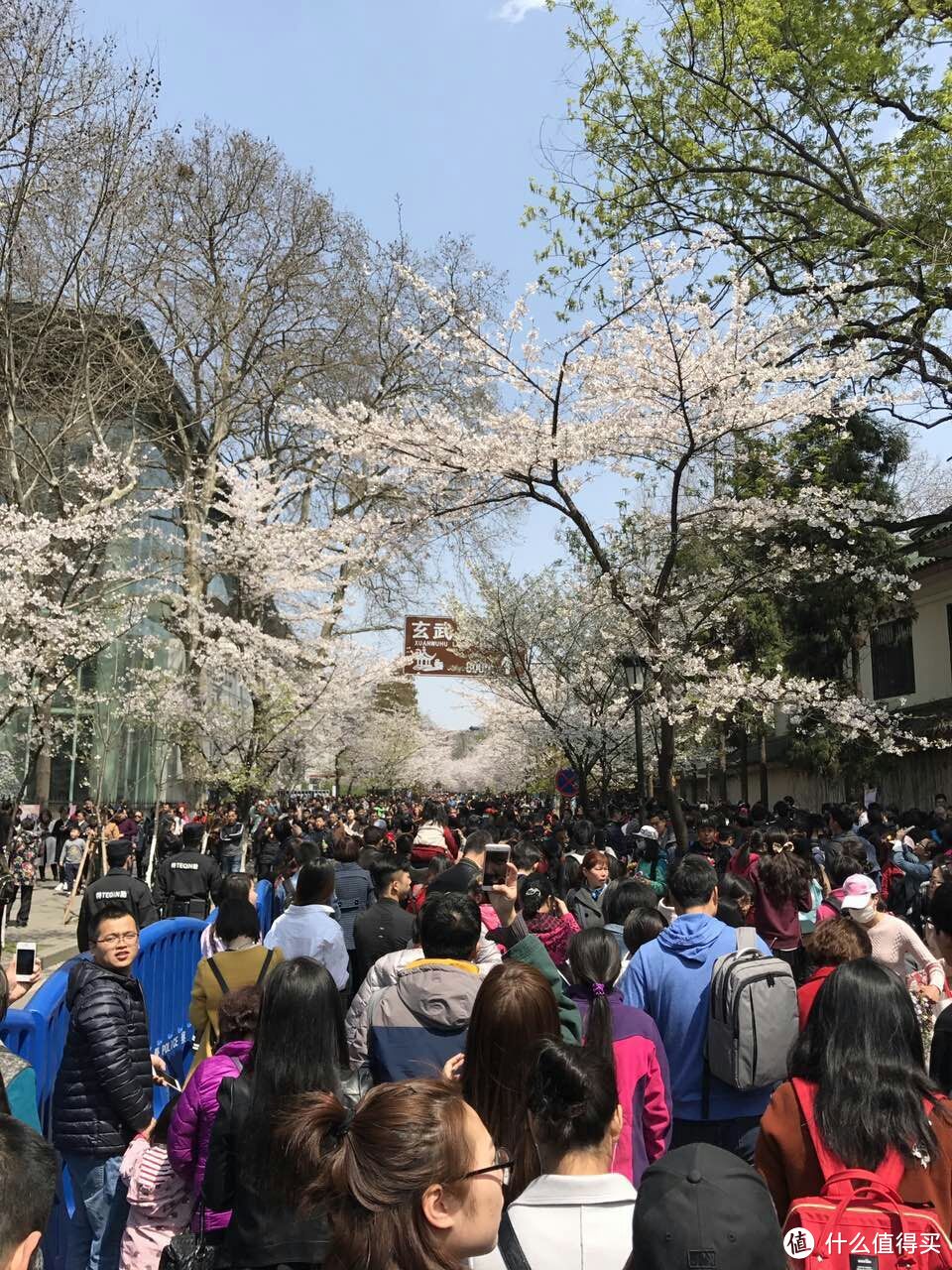 #2017春花大赏#鸡鸣寺赏花、玄武湖划水趣味之旅