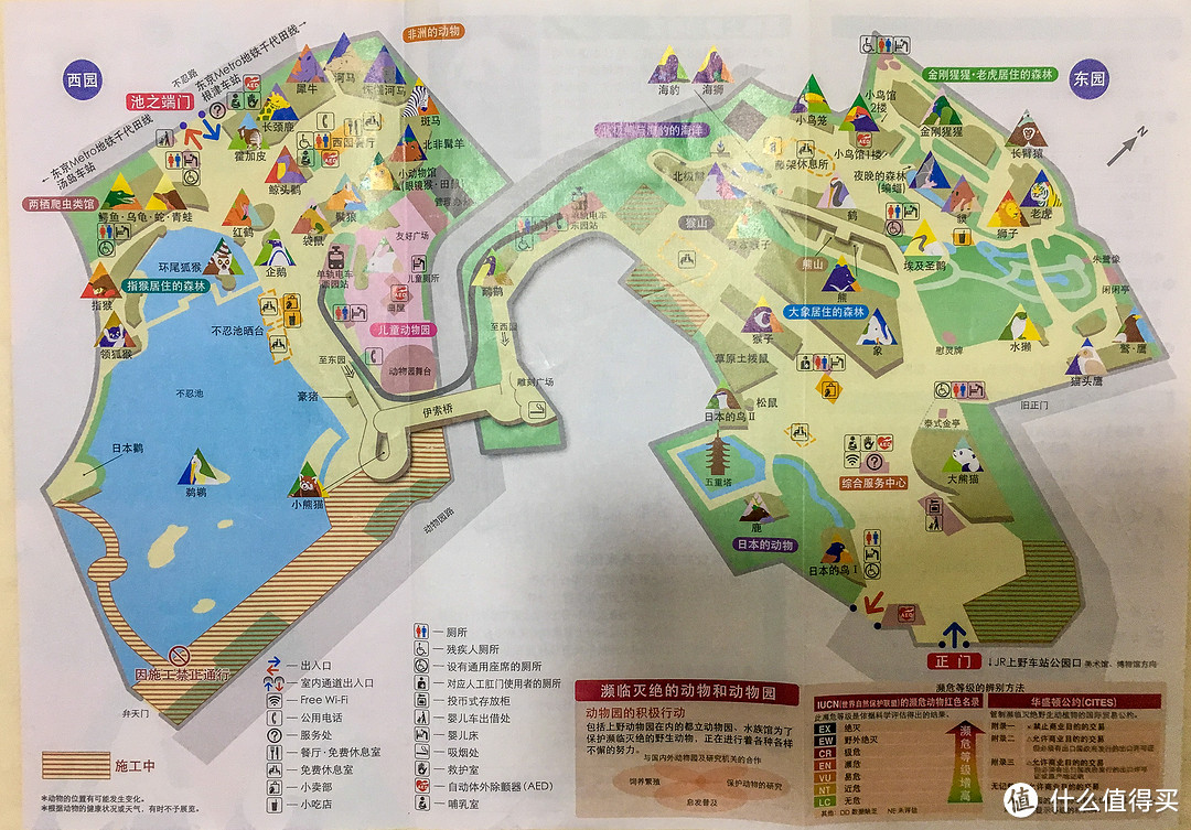 第三日 上野动物园，浅草寺，天空树