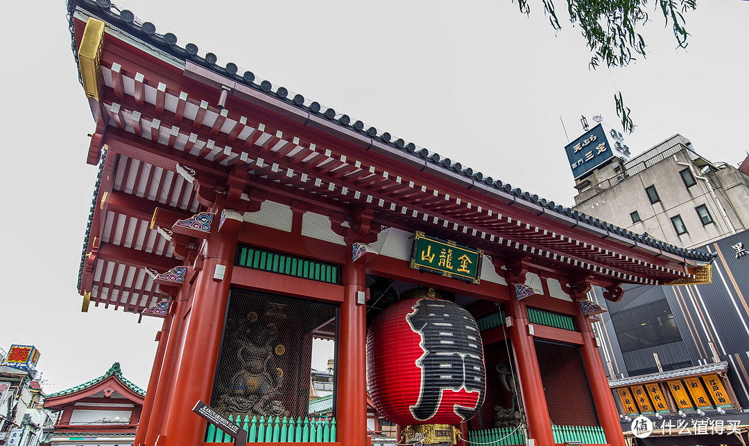 第三日 上野动物园，浅草寺，天空树