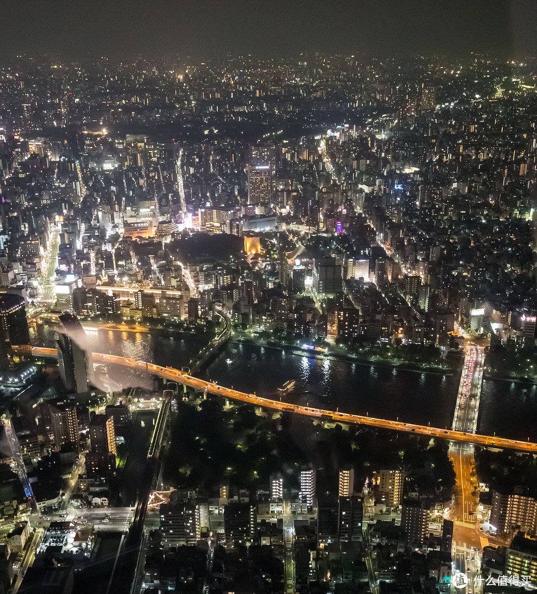 第三日 上野动物园，浅草寺，天空树