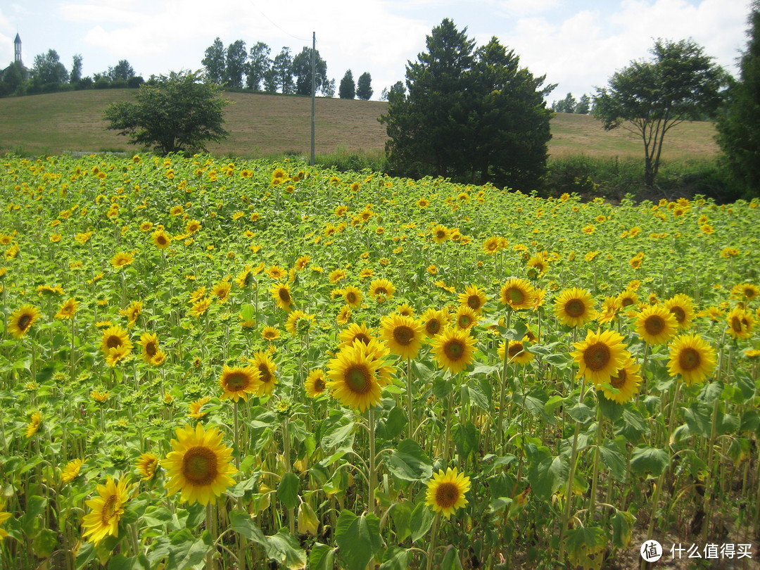 影像篇到底：葛大叔《非诚勿扰》后的夏日北海道游走