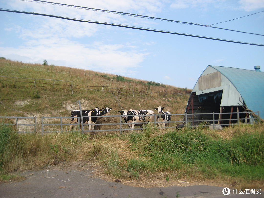 影像篇到底：葛大叔《非诚勿扰》后的夏日北海道游走