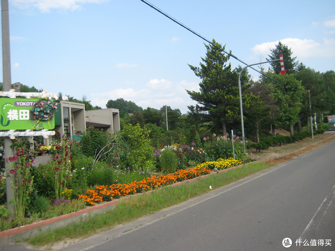 影像篇到底：葛大叔《非诚勿扰》后的夏日北海道游走