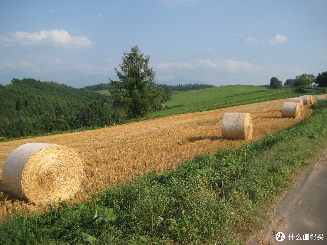 影像篇到底：葛大叔《非诚勿扰》后的夏日北海道游走