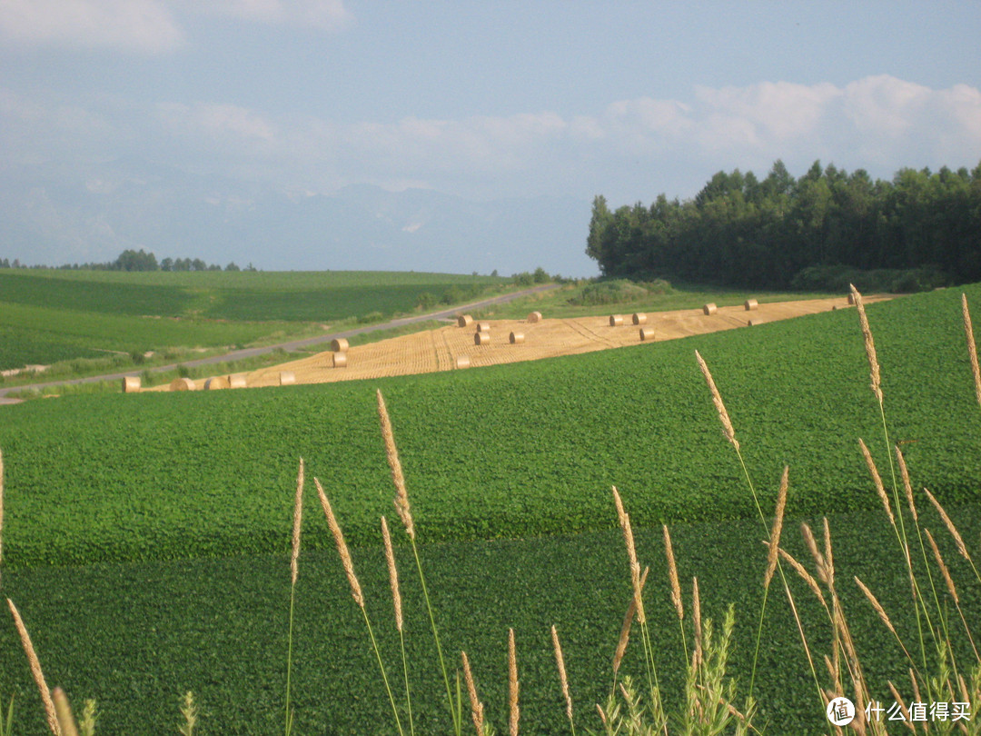 影像篇到底：葛大叔《非诚勿扰》后的夏日北海道游走