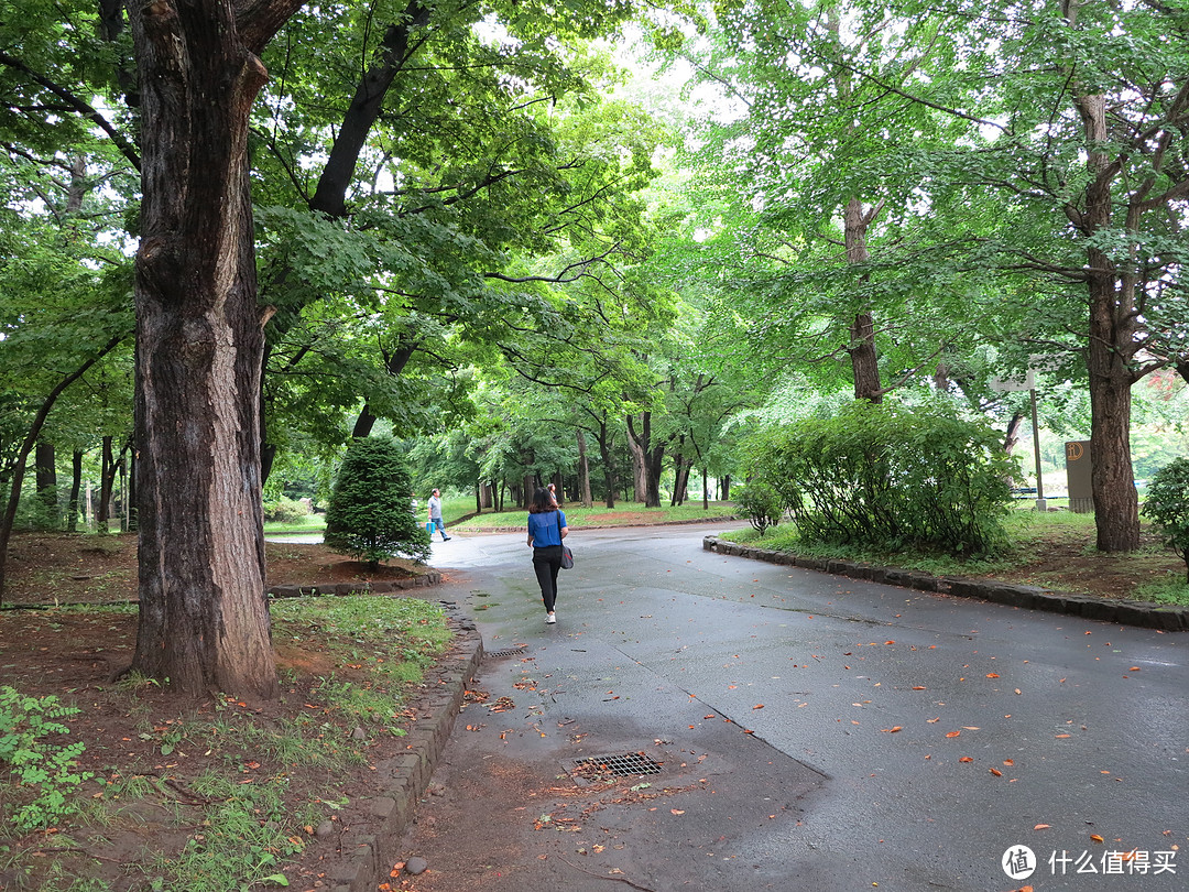 影像篇到底：葛大叔《非诚勿扰》后的夏日北海道游走