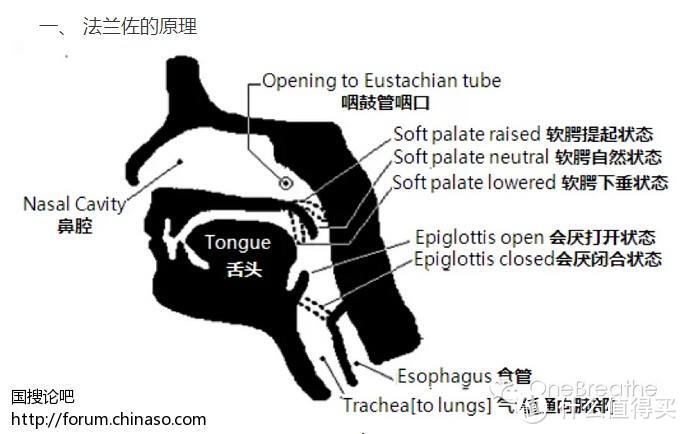 混迹于外国人旅行倾向的游记 —— 涛岛学潜水