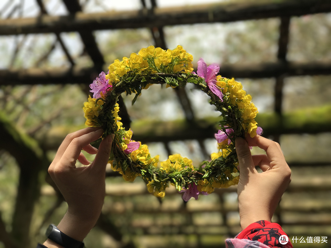 婺里看花，一次就好