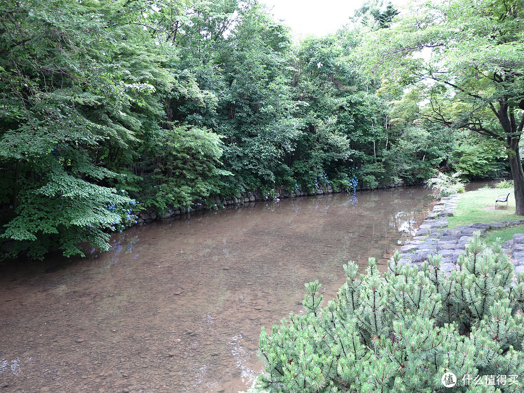 影像篇到底：葛大叔《非诚勿扰》后的夏日北海道游走