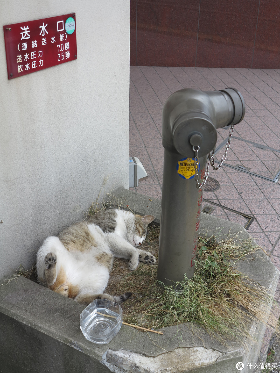 影像篇到底：葛大叔《非诚勿扰》后的夏日北海道游走