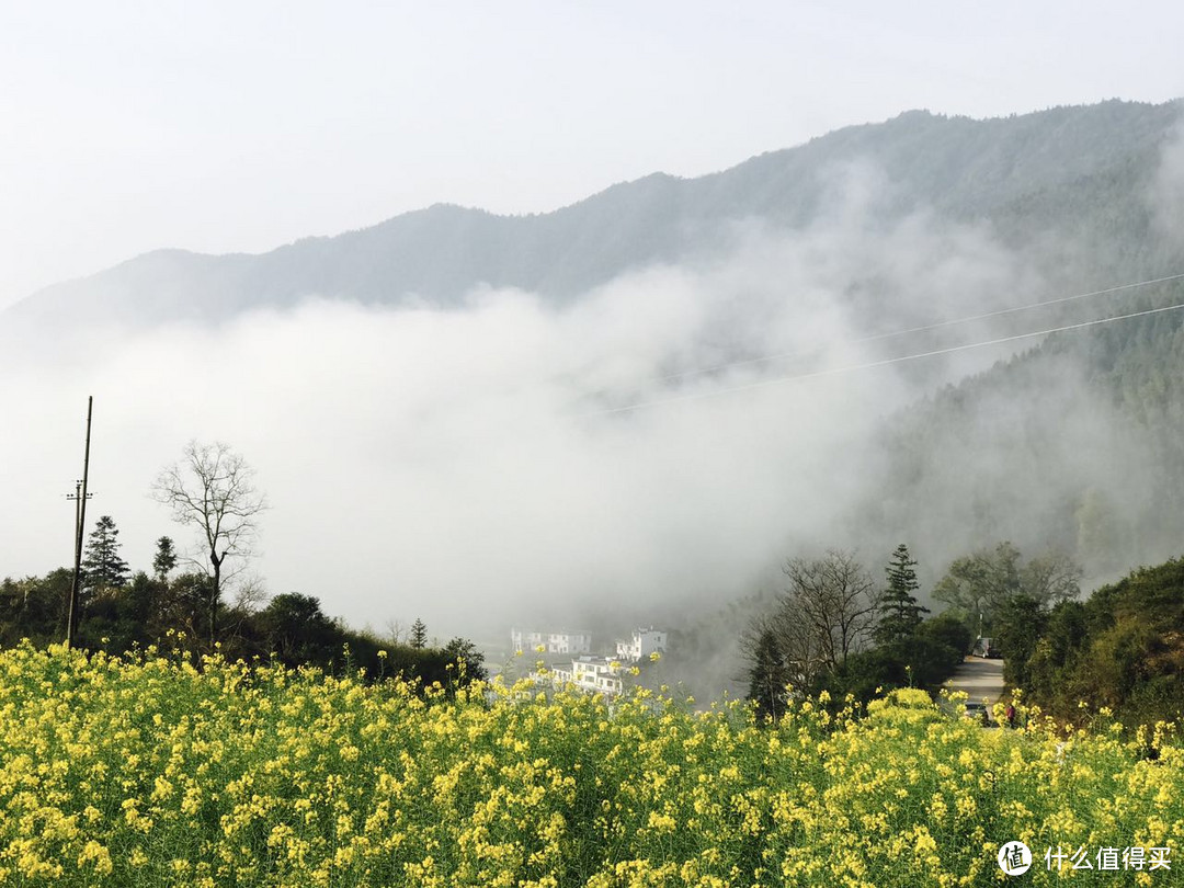 江岭油菜花梯田