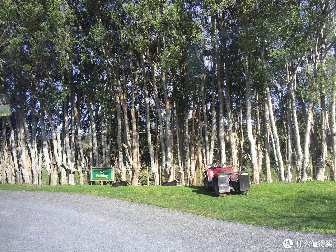 继续新西兰奇妙之旅，更有霍比特人村庄