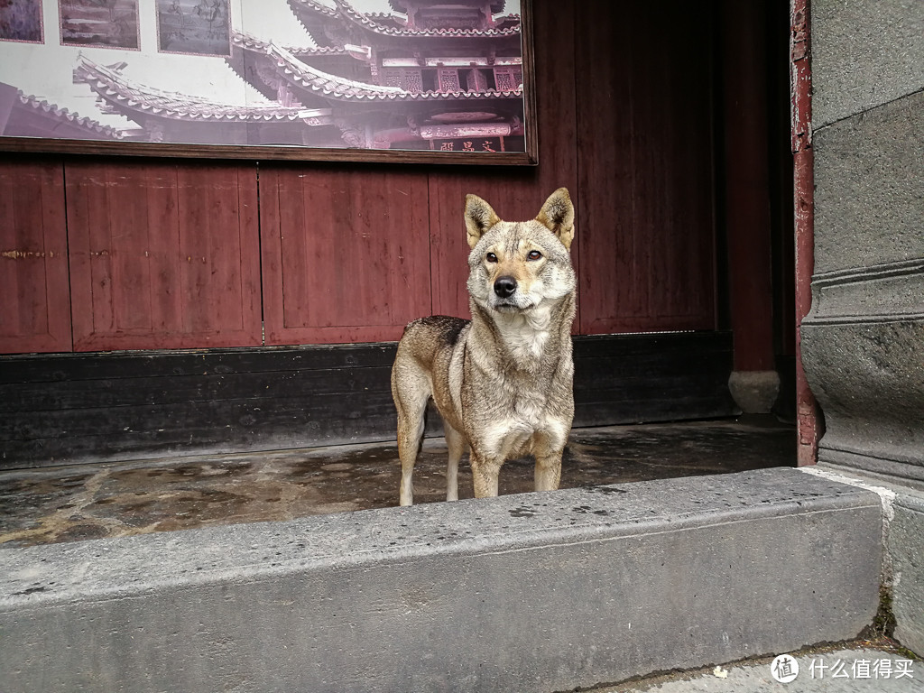 黑白双镜头，噱头还是创新？——华为荣耀V9全环境实拍测试