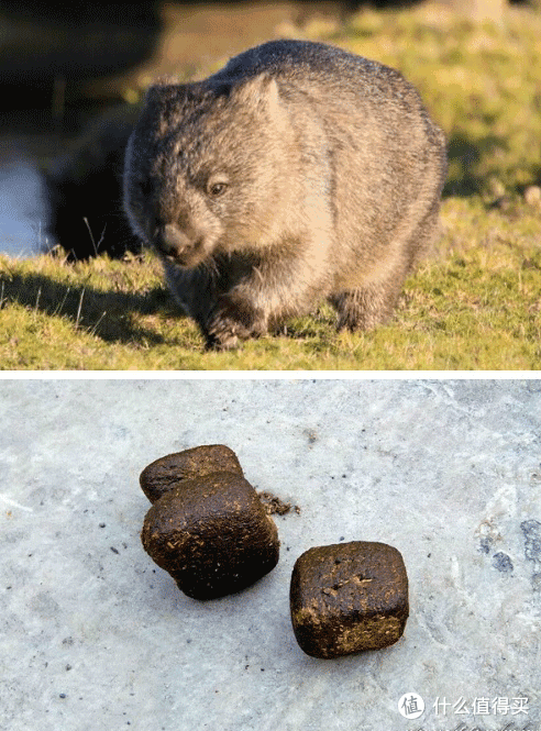 吐槽大会 | 这些面包这么丑,居然还有人买?