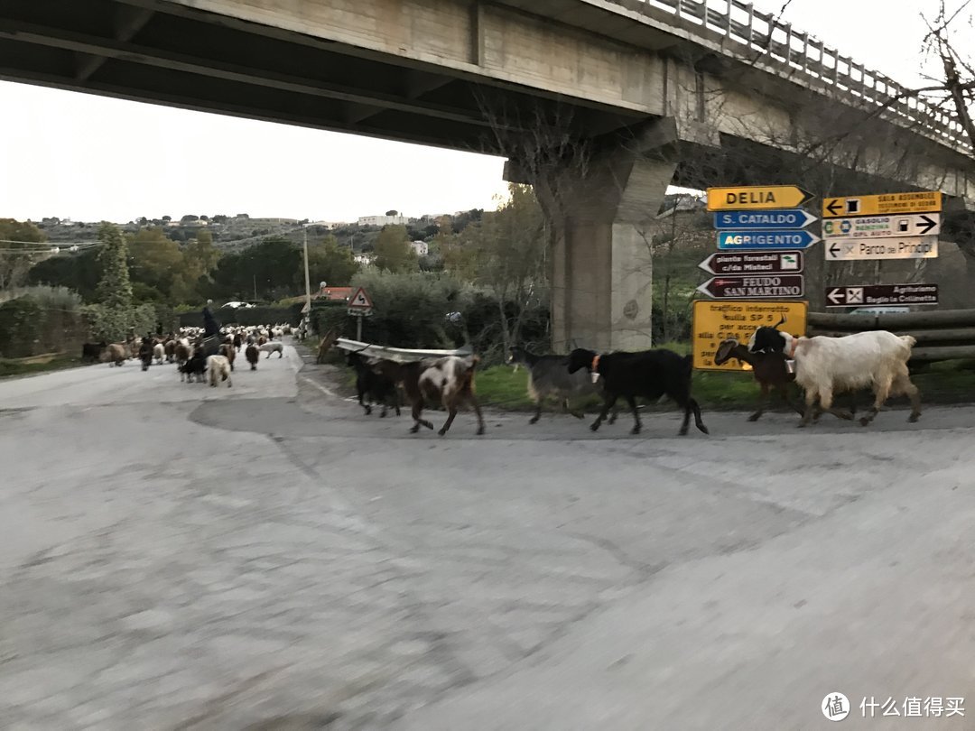 “纯干货”1个月意大利深度自驾体验之Z.T.L限行区（上）