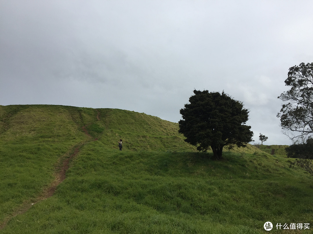 （终结篇）快乐总是短暂，新西兰博物馆、伊甸山、天空城游记