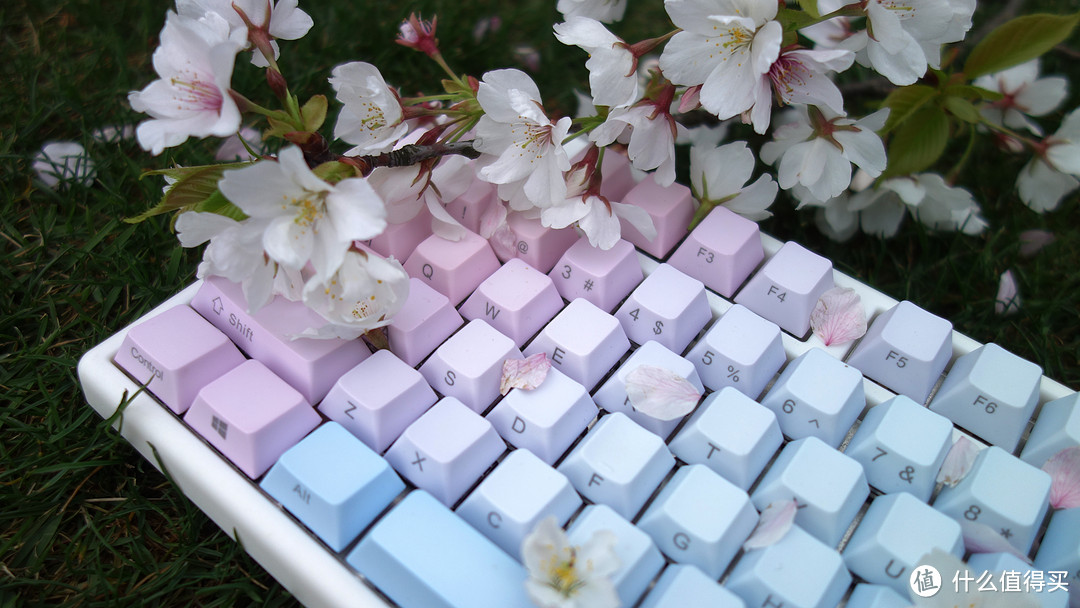 春风十里不如有你！蓝色妖姬PBT键帽+PLUM机械键盘