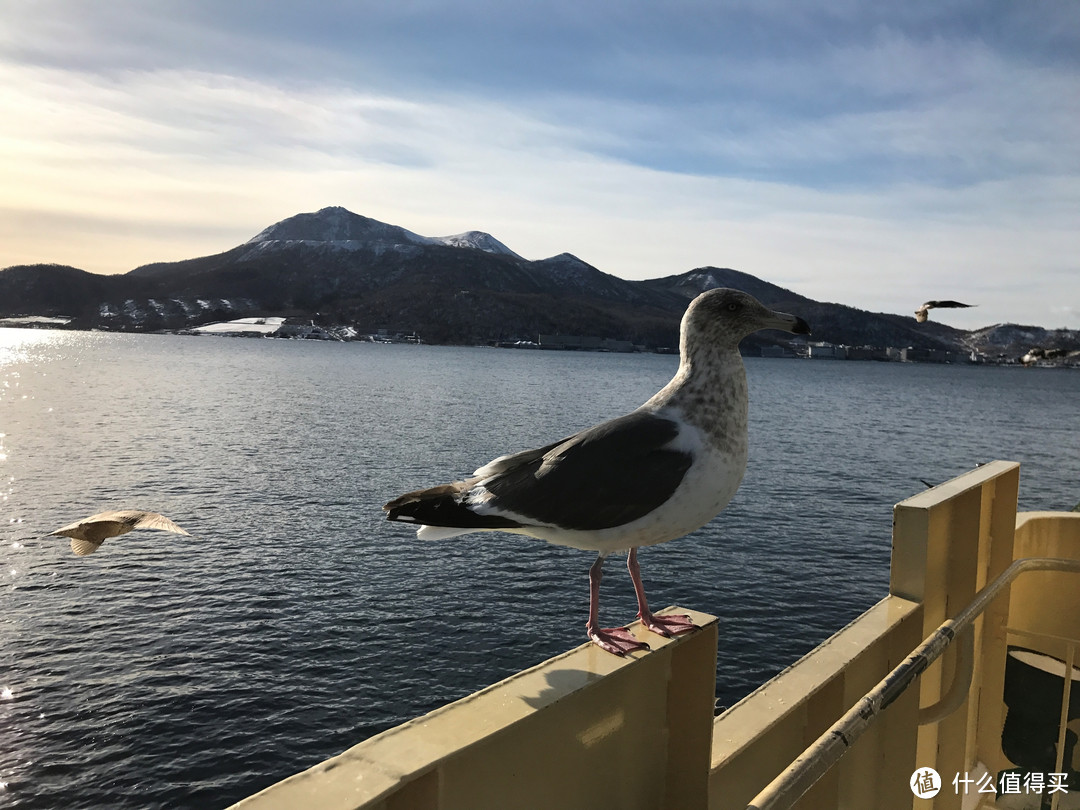 北海道圣诞温泉之旅