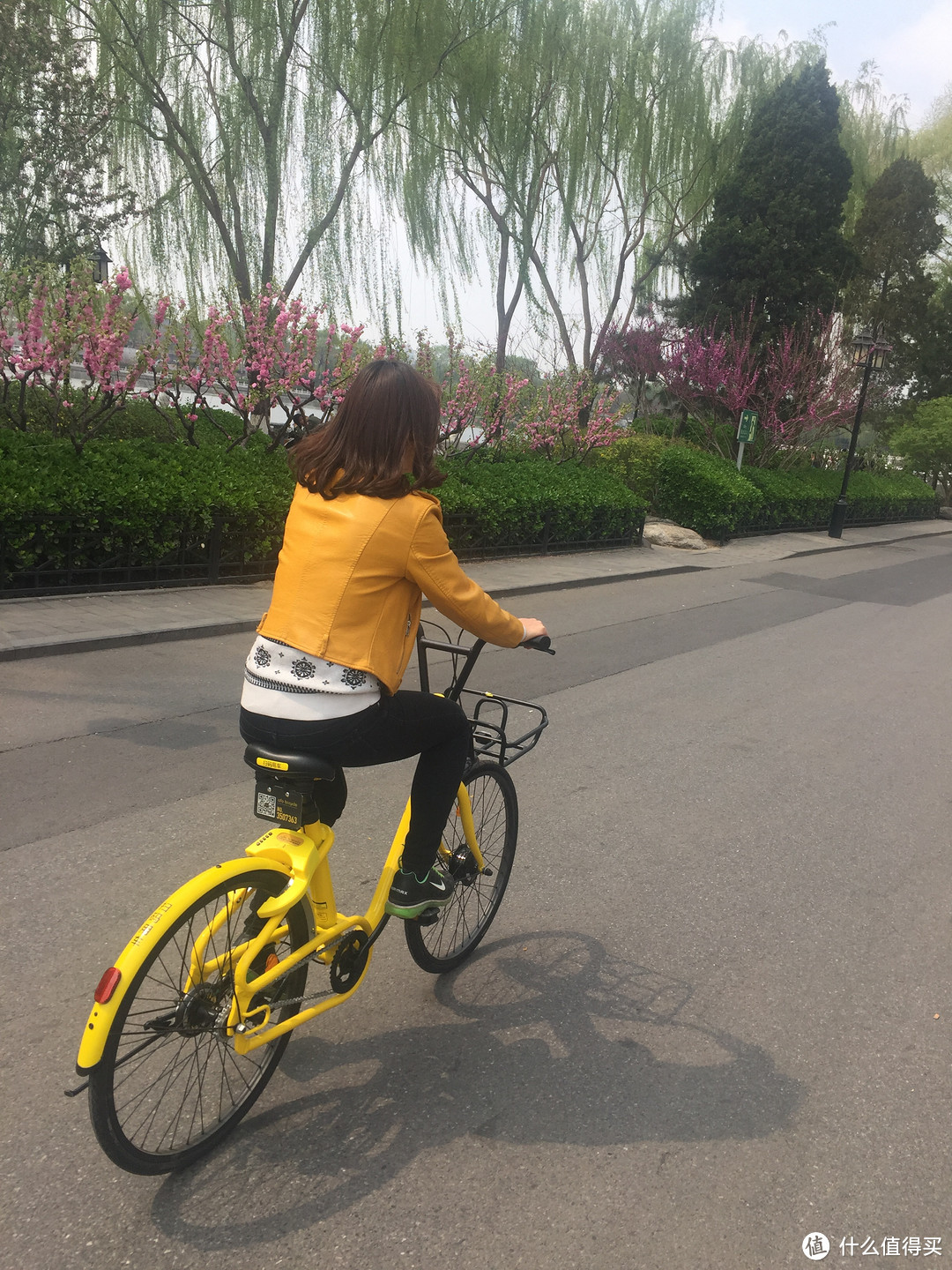 假期一手评测，ofo Curve新品小黄车骑行体验