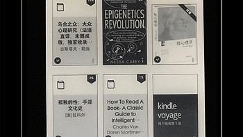 亚马逊 Kindle voyage 电子书阅读器使用感受(格式|分辨率|价格)