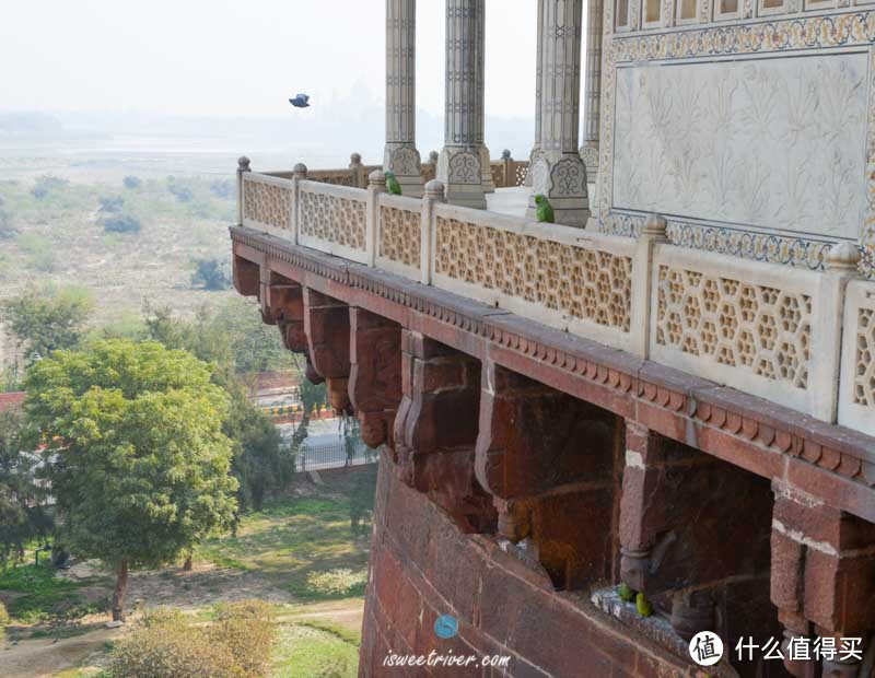 阿格拉（Agra）